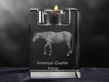 American Quarter Horse