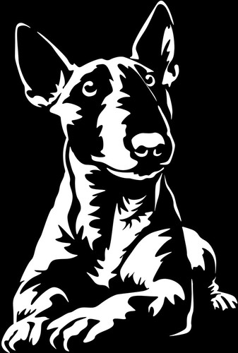 Adesivo bull terrier - terrier,