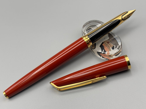 Penna stilografica waterman - penna, cf