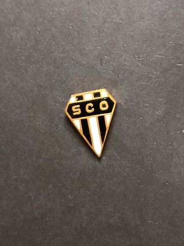 Pins pin badge spilla - pins,