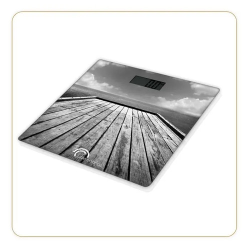 Pesatrice elettronica ponton - ponton,