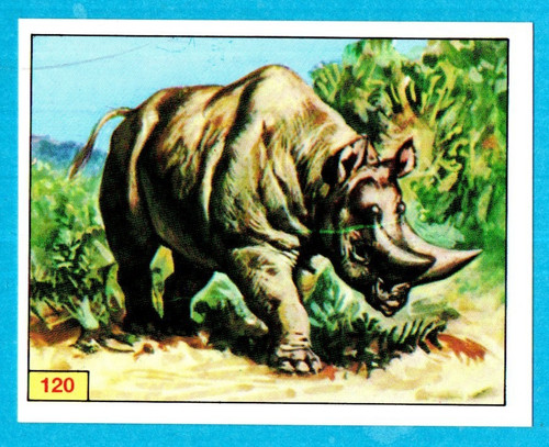 DINOSAURS/ANIMALI
