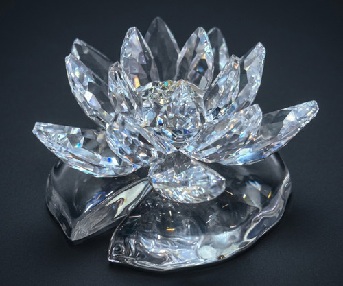 Bellissimo ornamento ninfea