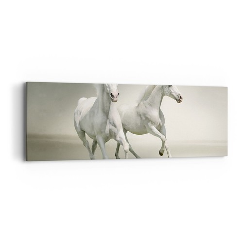 Quadro tela 90x30cm animali - quadro, su