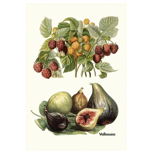 Canovaccio cucina vallesusa - da,