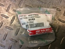OEM PGO Bug Rider Buggy 250
