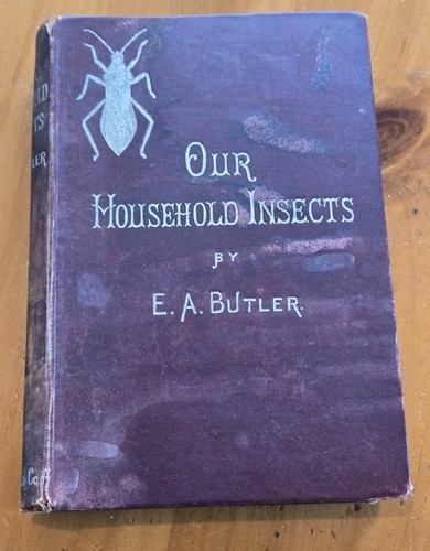 Our household insects antique - household,