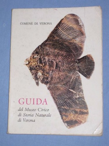 Guida del museo civico - guida,