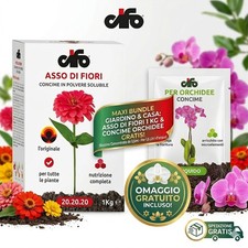 KIT Asso di Fiori 1 kg +