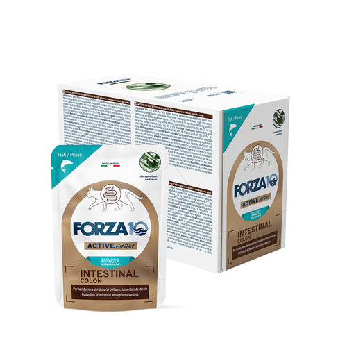 Forza10 gatto intestinal colon - forza10,