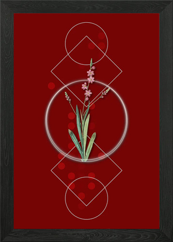 Poster geometrico ixia - poster,