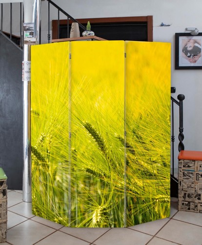 Paravento disponibile anche - paravento,