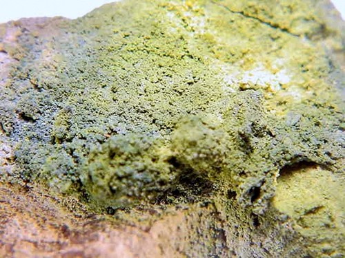 Pintadoite fernandinite - pintadoite,