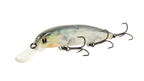 Imakatsu dardo 100f - dardo, persico
