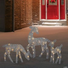 Northlight Espositore