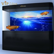 Poster sfondo acquario blu