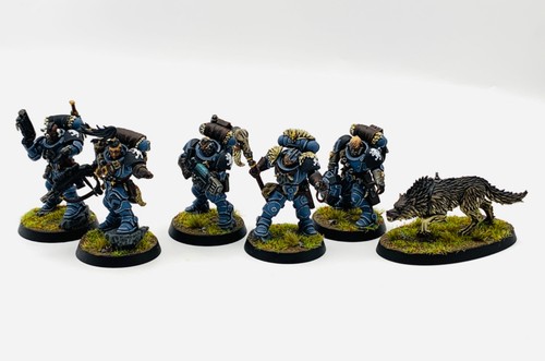Dipinto kill team wolf - team, scouts