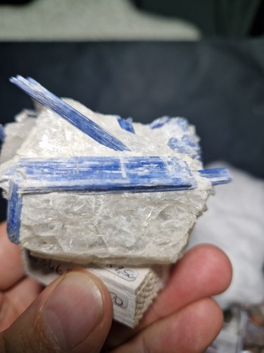 Minerale cianite blu - cianite,