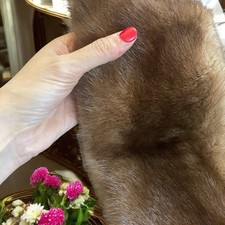 Collo Di Pelliccia Vera Visone Anni ‘50 66 Cm 