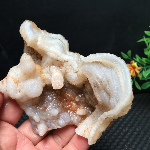 Bonsai naturale 120g suiseki - 120g,