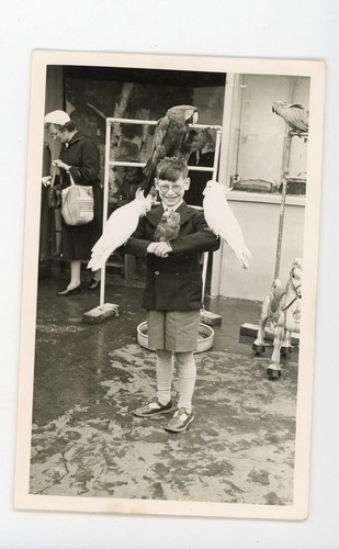 Foto epoca ragazzo coperto - d'epoca,