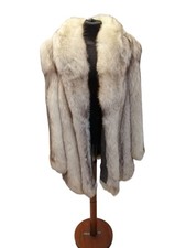 pelliccia volpe argentata della Groenlandia 