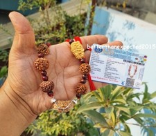 Rudraksha Rudraksh 1 2 3 4 5 6