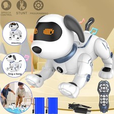 Robot Telecomandato Giocattolo