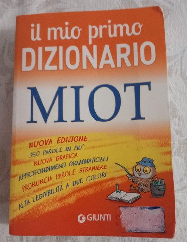 Mio primo dizionario - il,