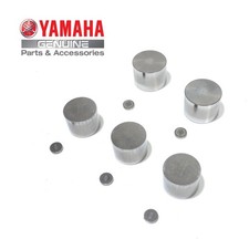 Bicchierini alzivalvola