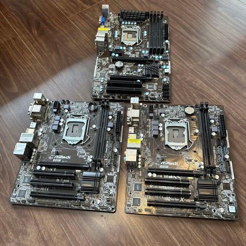 Scheda madre asrock - scheda,
