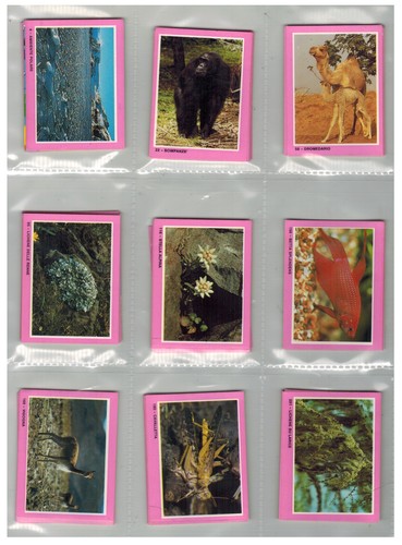 Animali euroflash 1988 lotto - animali,