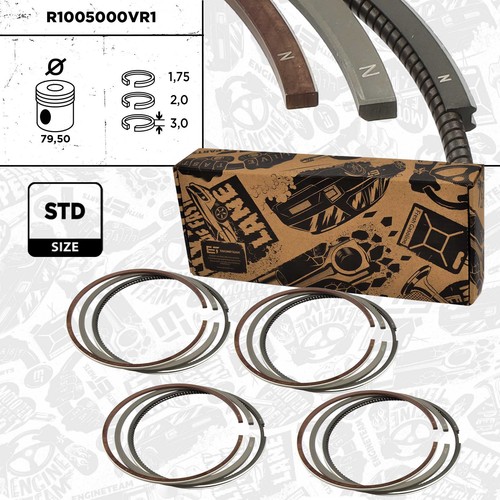 Set anelli pistone r1005000 - anelli,