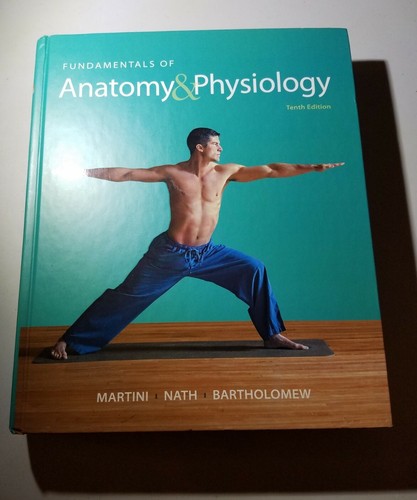 Fundamentals anatomy - anatomy, &