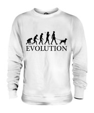 Bracco italiano evoluzione - italiano,