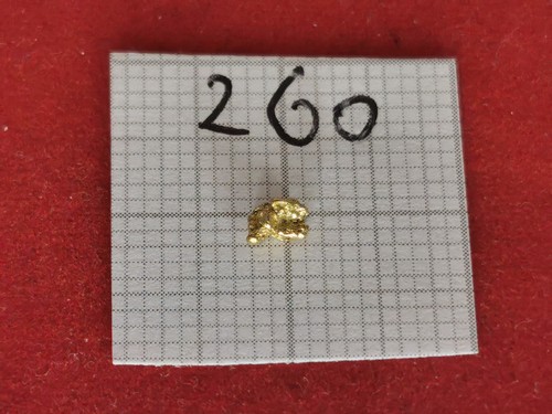 260 pepita oro alaska yukon - alaska,