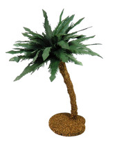 Palma Cm 10x10x25h - Oasi Deserto Vegetazione per Presepe