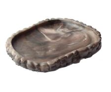 Abbeveratoio per Tartarughe di