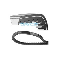 Cinghia Trasmissione Dayco