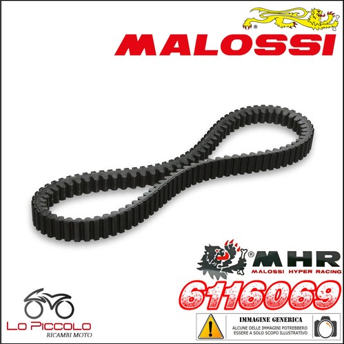 6116069 cinghia belt - 6116069, k