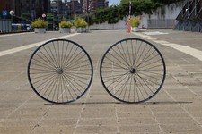 Unique Colnago team edition wheel set