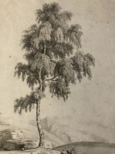 Grande Disegno XIX 1850 Matita