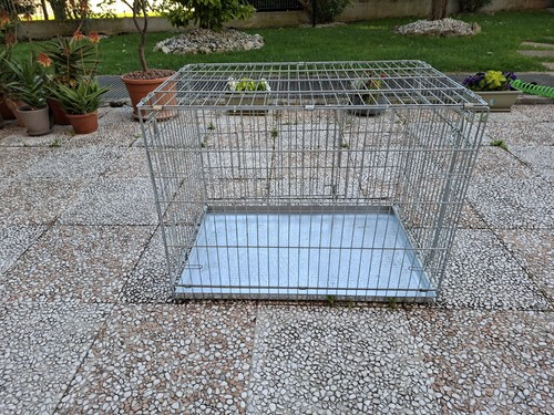 Kennel cane - kennel,