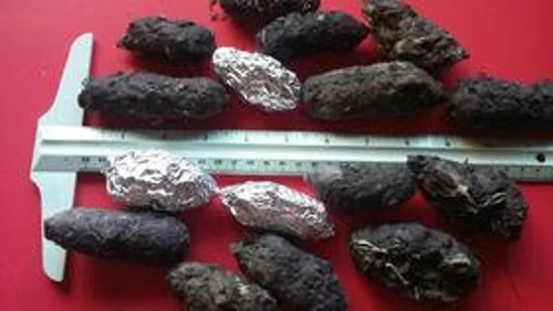 Confezione pellet gufo - pellet, di
