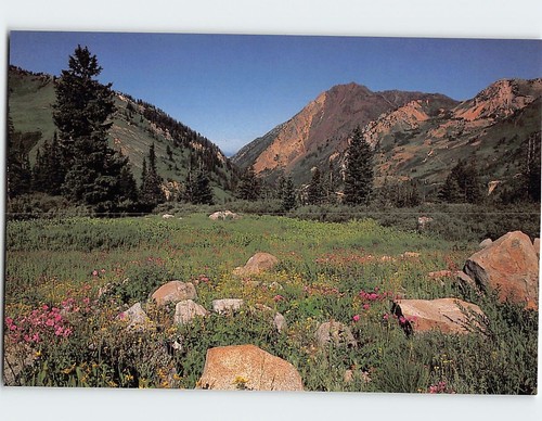 Cartolina albion basin - albion,