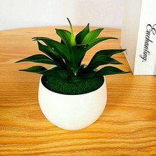 Courtyards Artificiale Piante