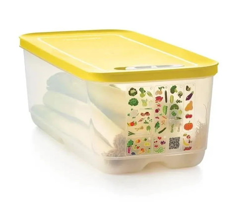Tupperware contenitore smart - tupperware,