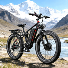 Bicicletta elettrica