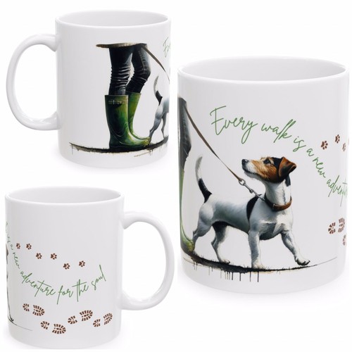 Jack russell terrier - jack,