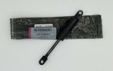 Molle A Gas - Pistoncini